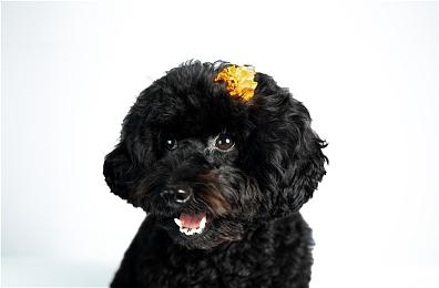 《永劫无间》天人模式大揭秘 网易云游戏无需配置助你快速上分